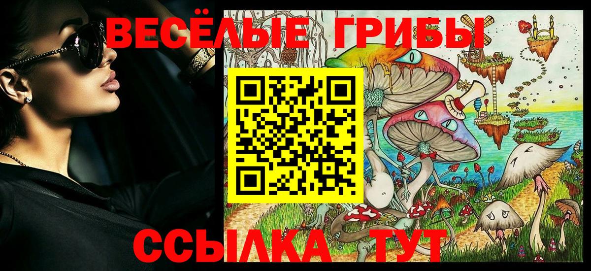 Галлюциногенные грибы мицелий Белогорск